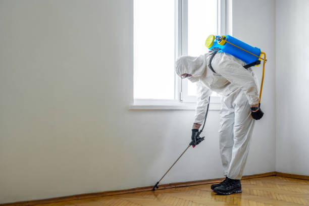 Best Pest Control for Warehouses  in Stratford, OK